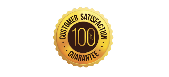 100-customer-satisfaction